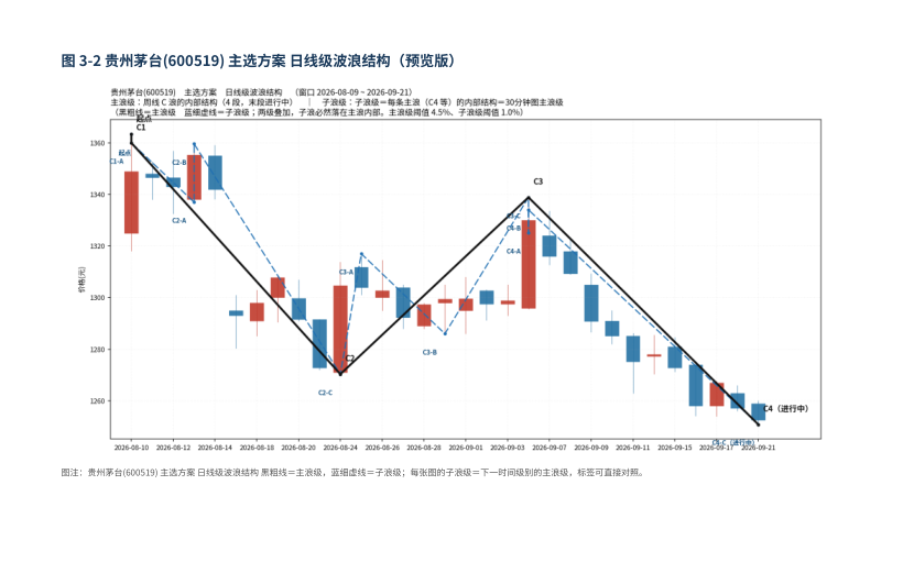 报告图表页：日线级波浪结构图，标注主浪级与子浪级